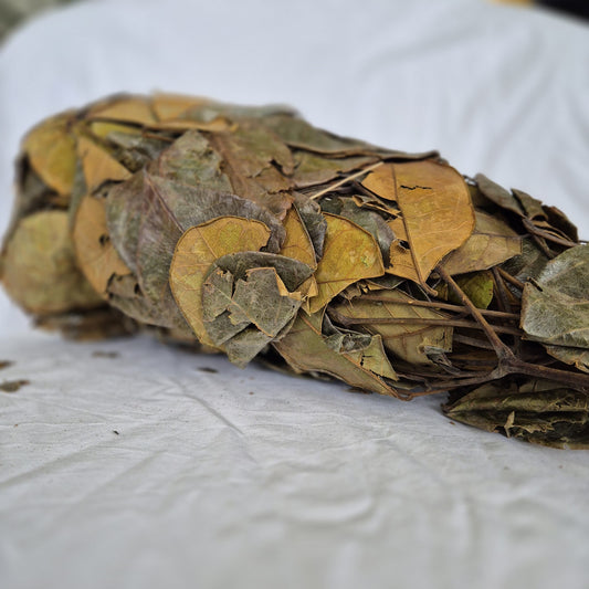 vaginale stoombladeren